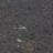 NR214 керамогранит Nemo Dark grey  600*1200 мм (1,44 м2) - 